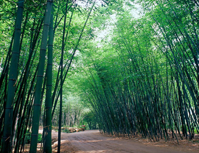 重渡溝