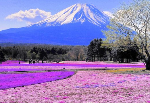 富士山五合目