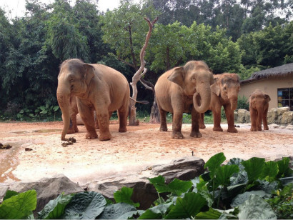 野生動物園